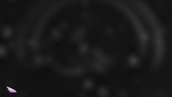 Dark Shard Stream Teaser Stream Package