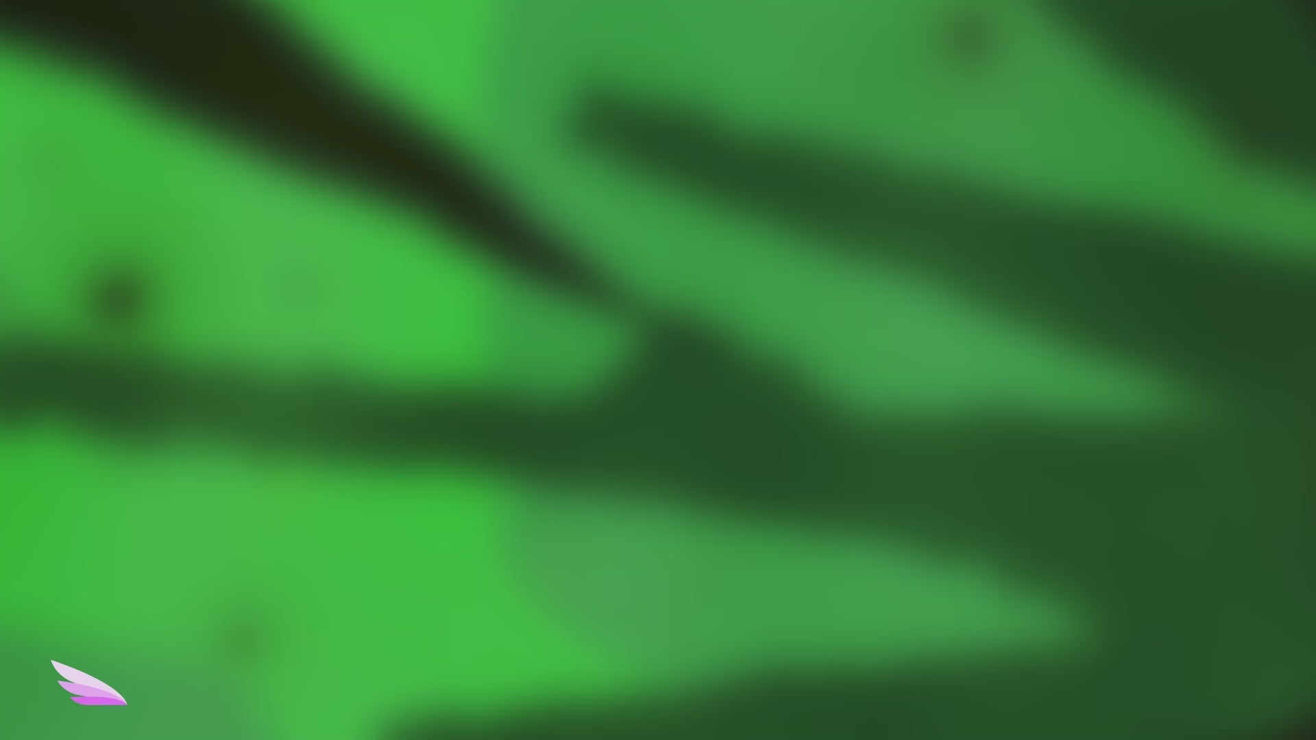 Zoo Safari Stream Teaser Stream Package