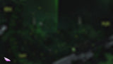 Green Ops Stream Overlay Package